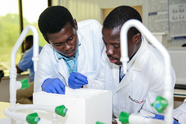 Appel à candidature de 2020: Bourses de mobilité intra-africaines pour jeunes chercheurs (financée par BMBF et AvH)